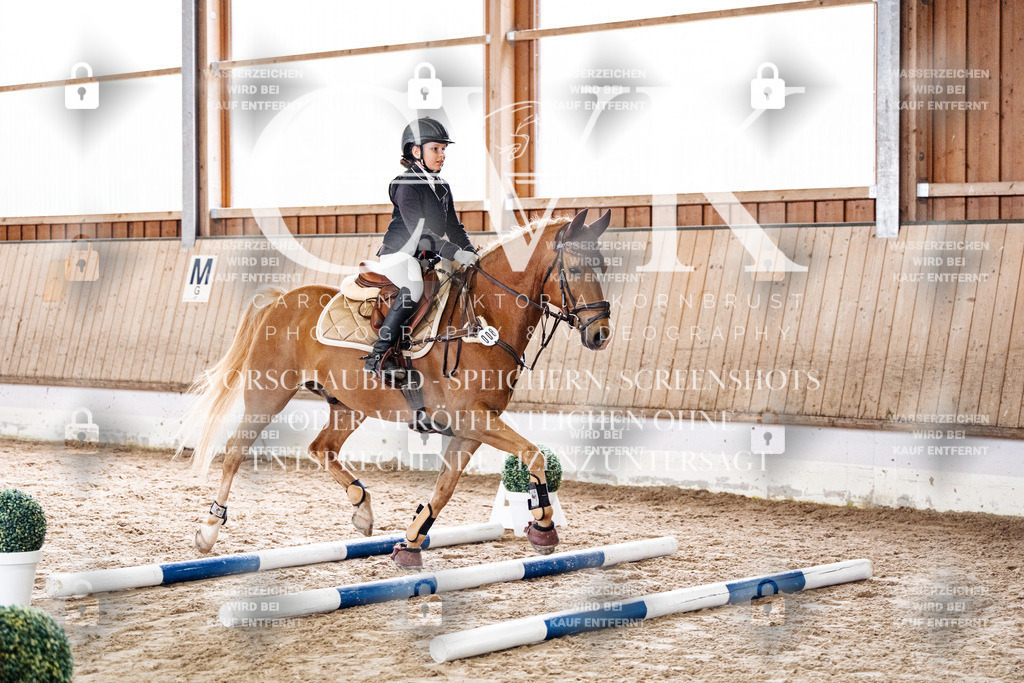 CK902749 | Turnierfotografie Pferdefotografie Trier Rheinland-Pfalz Pferdesport Reitsport Tierfotografie Sportfotografie Pferdevideo Pferdevideografie Equestrianvideography equestrianphotography  - Realisiert mit Pictrs.com