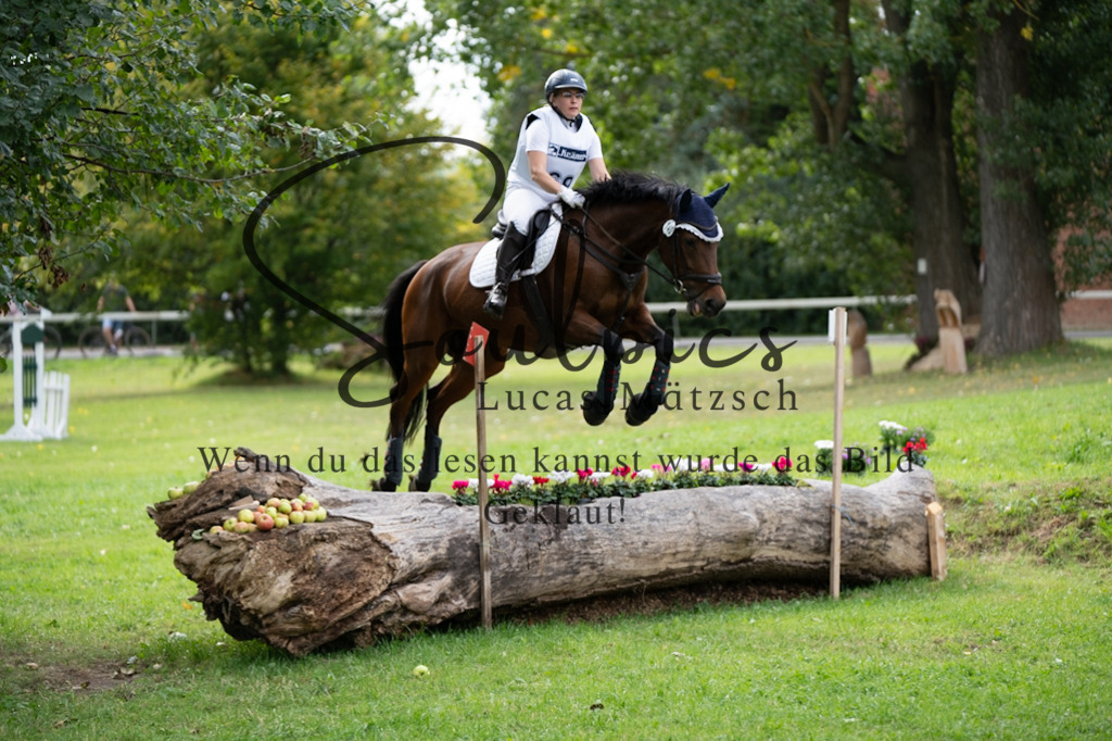 A7V03754 | Pferdefotograf