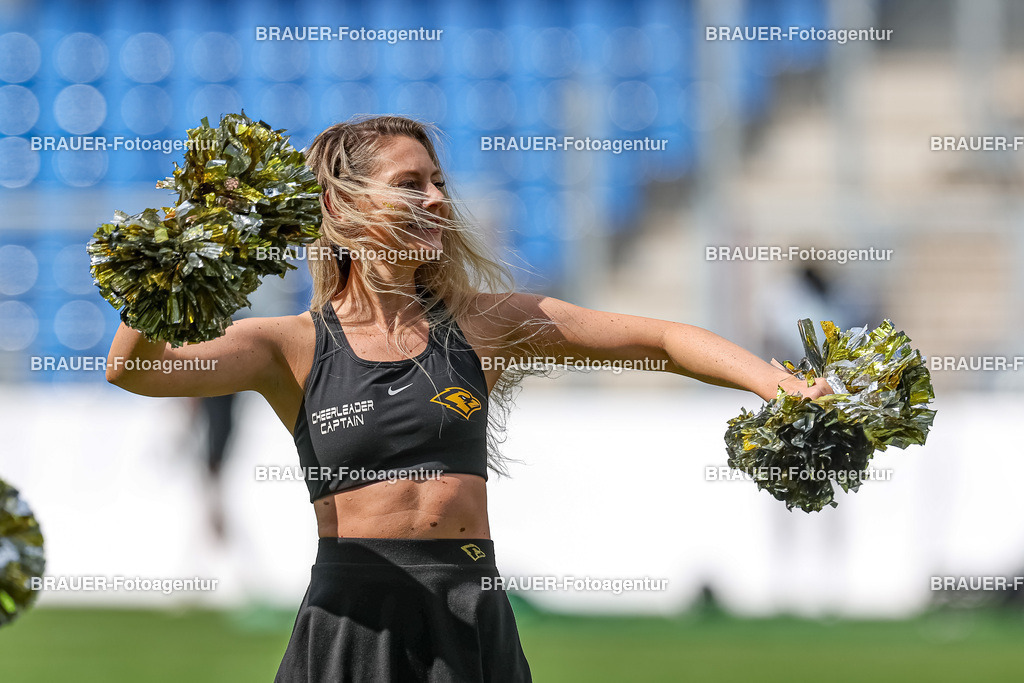 097_Ravens_20230827_0615 | BRAUER-Fotoagentur