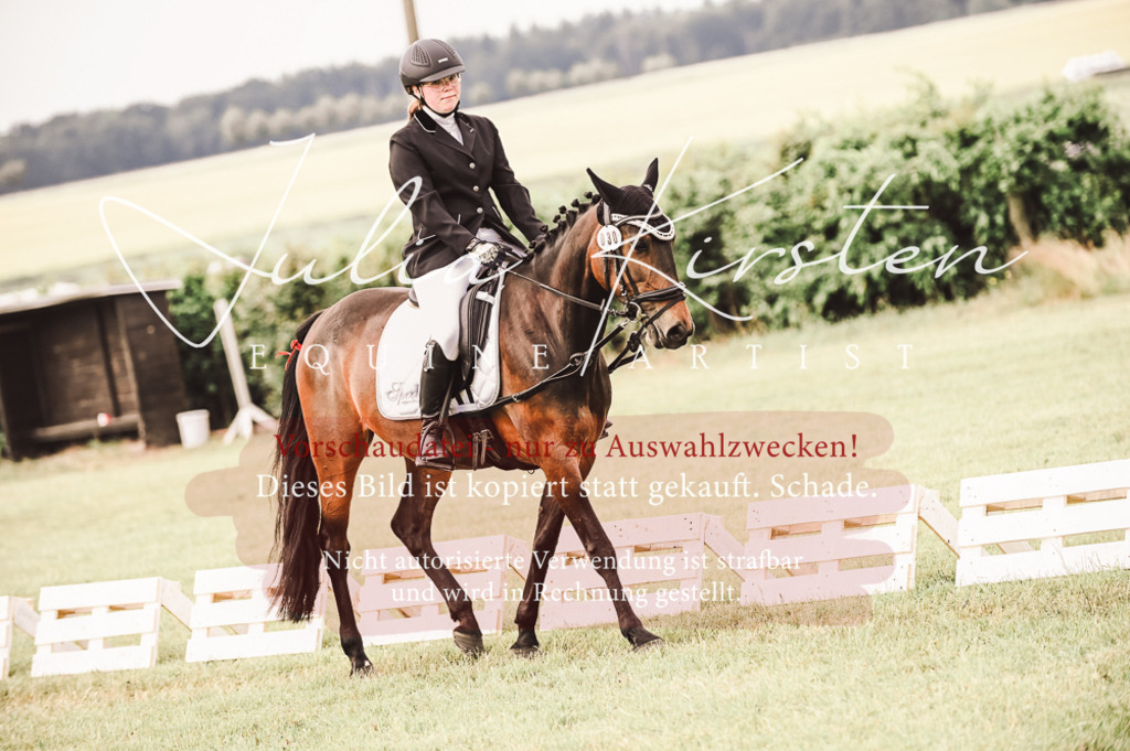 DSC_4883 | Pferde- und Turnierfotografie in Westsachsen. Pferdeportraits, Auftragszeichnungen und intuitive Kunst.
