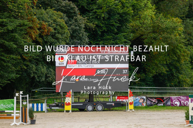 _62_8938 | larahueckfotografie