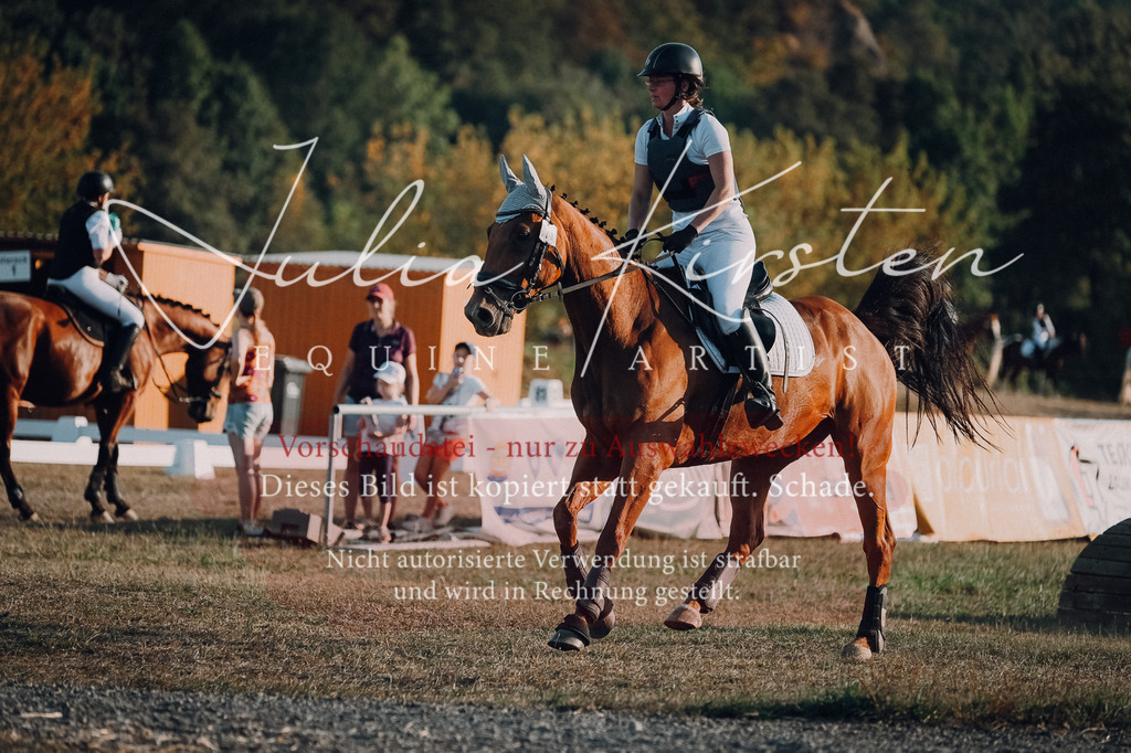 DSC_9230 | Pferde- und Turnierfotografie in Westsachsen. Pferdeportraits, Auftragszeichnungen und intuitive Kunst.