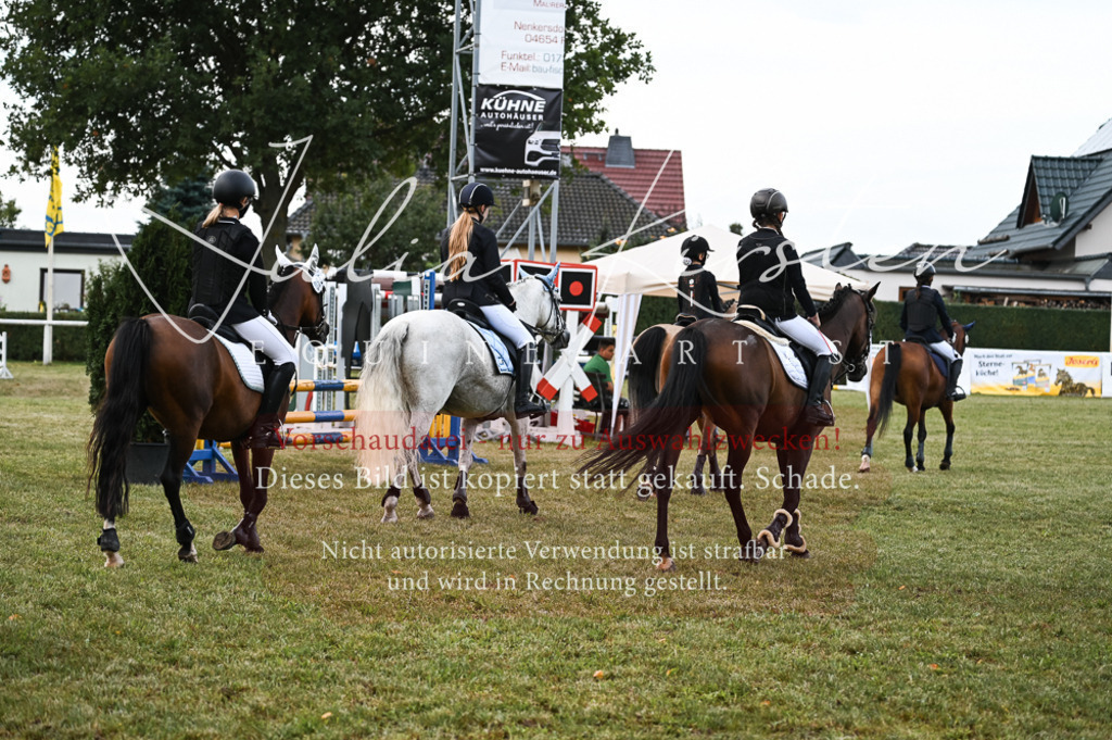 DSC_5752 | Pferde- und Turnierfotografie in Westsachsen. Pferdeportraits, Auftragszeichnungen und intuitive Kunst.