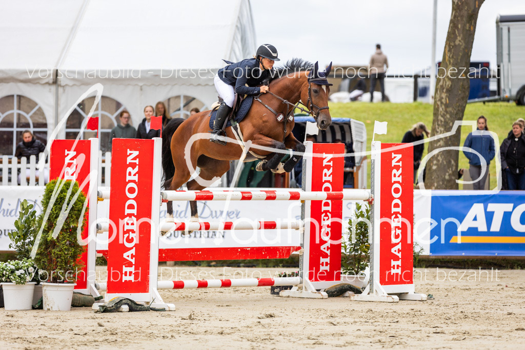 BHO-2PhSpr-M-5-2285 | MomenTaufnahmen Pferdesportfotos