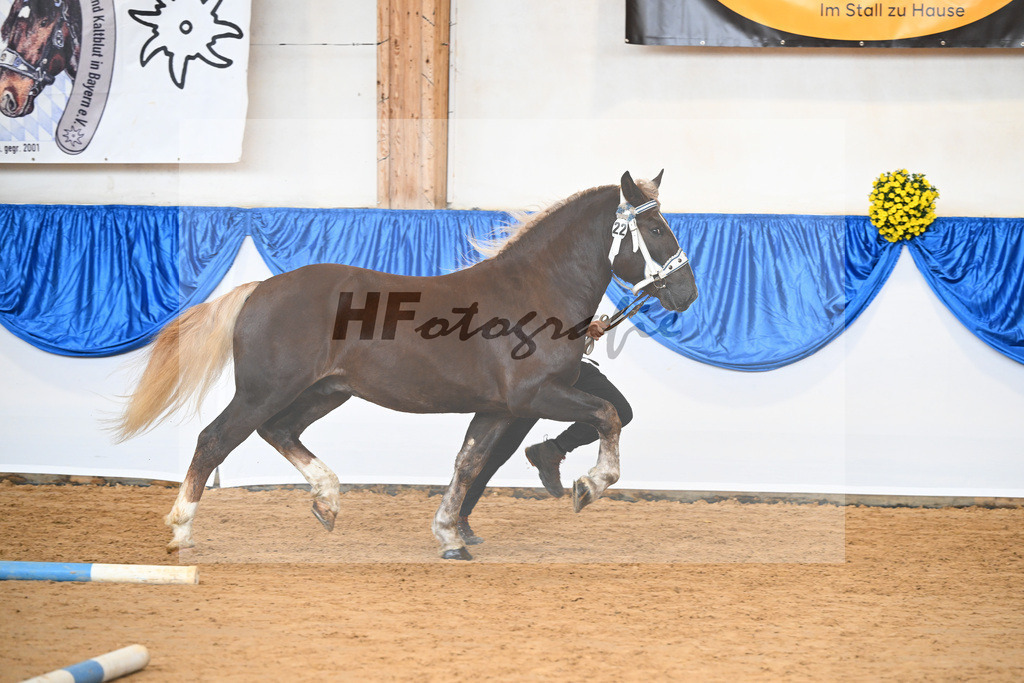Kat-Nr. 22 nn v. Valdero_Harrer_39250346 | hf-fotografie - Realizzato con Pictrs.com