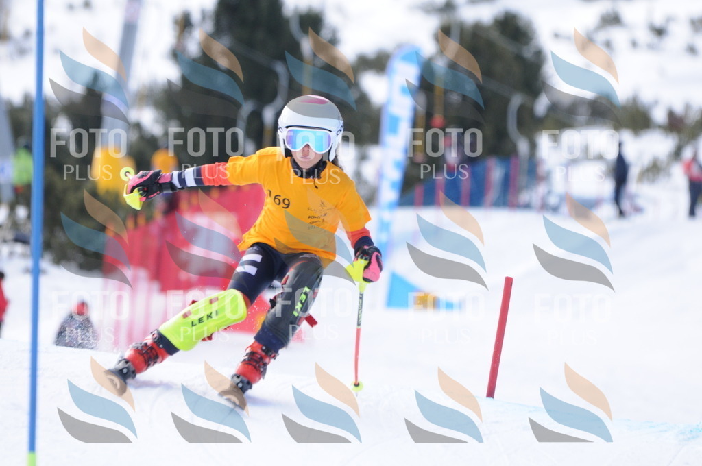 C7370 | holidayphoto