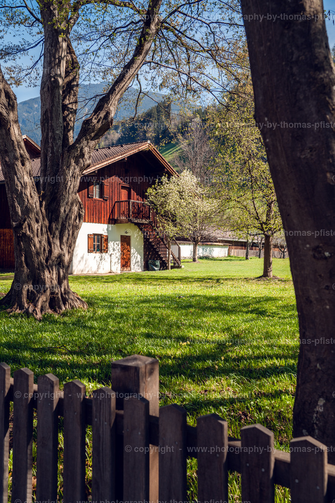 Stumm im Frühling copyright  Thomas Pfister-11 | PHOTOGRAPHY BY THOMAS PFISTER
