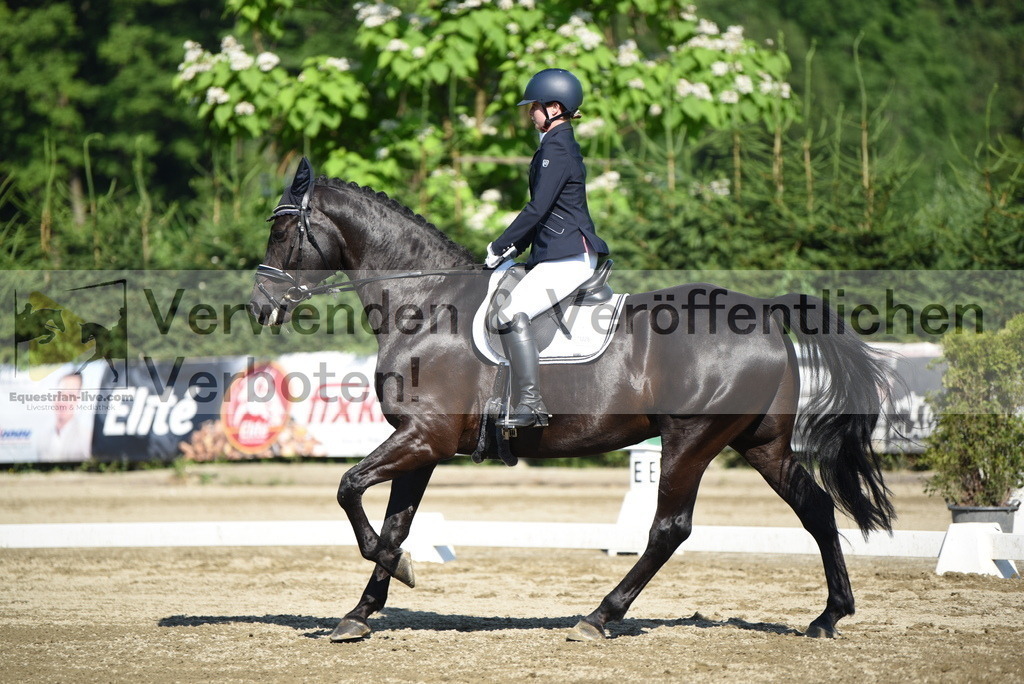 DSC_7247 | equestrian-live-com