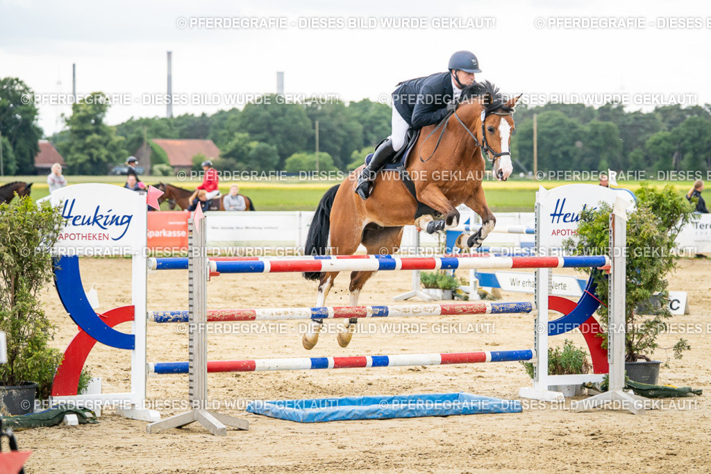 DSC06563 | Pferdegrafie