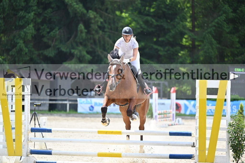 DSC_4202 | equestrian-live-com