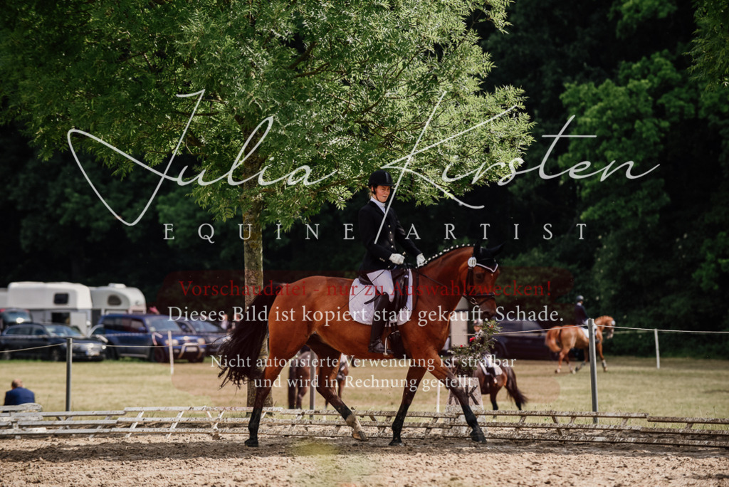 DSC_9781 | Pferde- und Turnierfotografie in Westsachsen. Pferdeportraits, Auftragszeichnungen und intuitive Kunst.