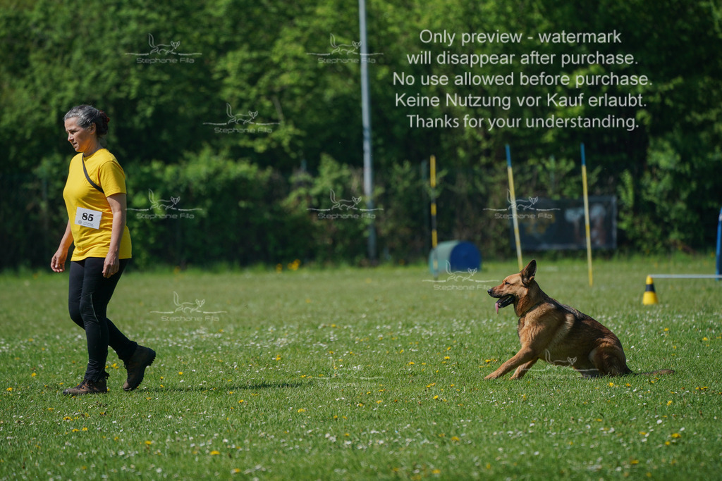 Sa_Gehorsam_Vormittag-156 | stephaniefillaphotographie - Realisiert mit Pictrs.com