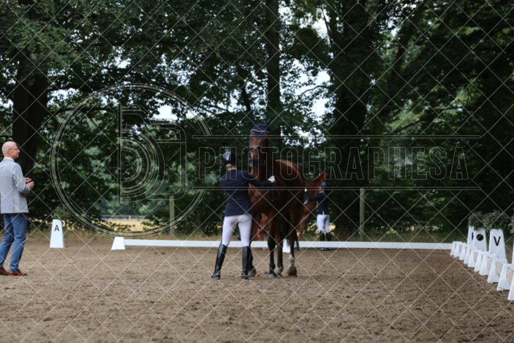 IMG_2127 | photographesa-joergens - Realisiert mit Pictrs.com