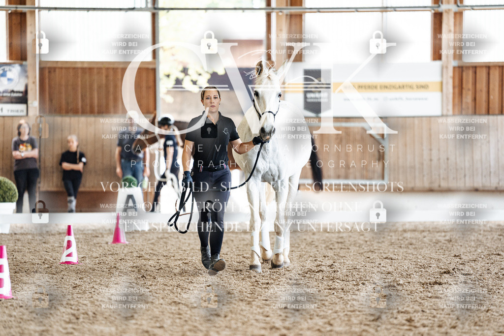 CK907726 | Turnierfotografie Pferdefotografie Trier Rheinland-Pfalz Pferdesport Reitsport Tierfotografie Sportfotografie Pferdevideo Pferdevideografie Equestrianvideography equestrianphotography  - Realisiert mit Pictrs.com