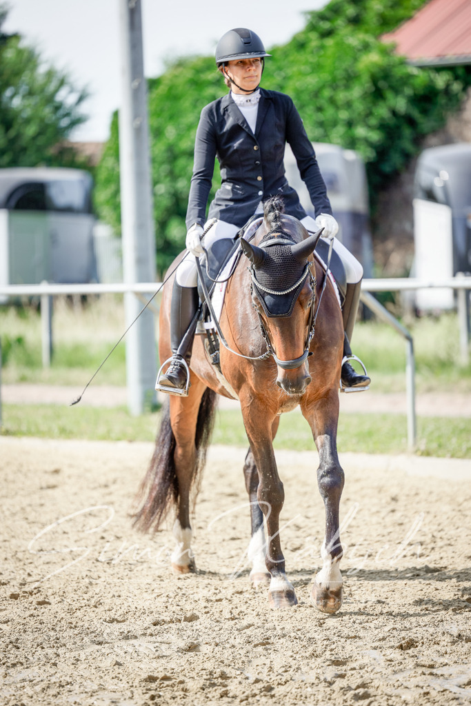 20250621-_3LI5789 | Tierfotografie Pferde, Hunde, Katzen, Haustiere.
Turnierfotografie Reitturniere, Reiten, Springreiten, Dressur in Hanau, dem Main-Kinzig-Kreis und dem Rhein-Main- Gebiet um Frankfurt