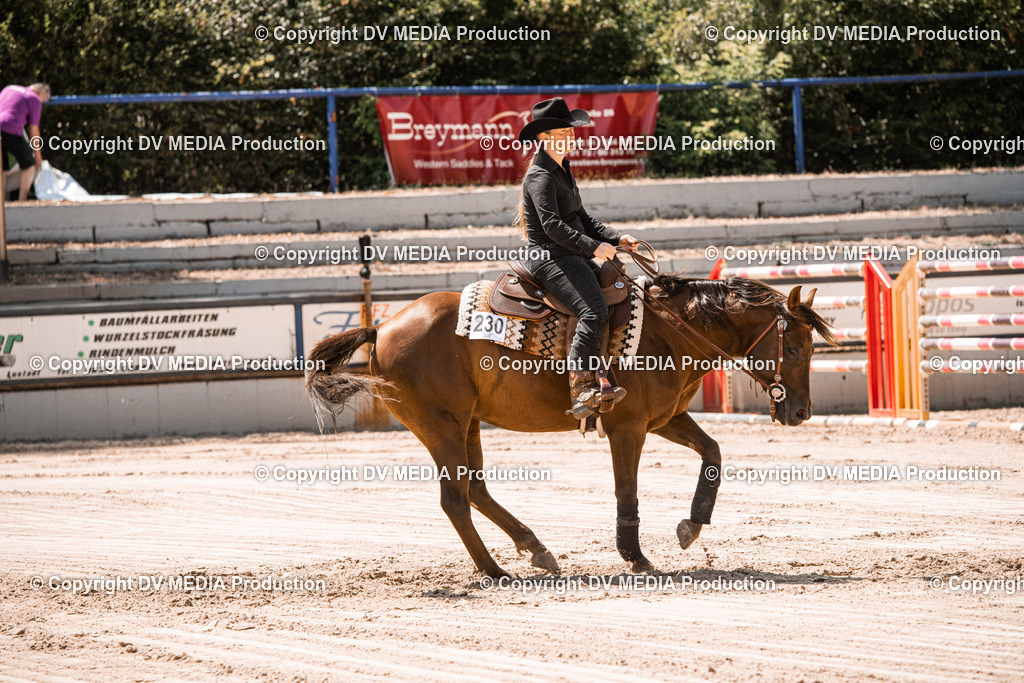 ZS3_0060 | dv-media-shop - Realisiert mit Pictrs.com