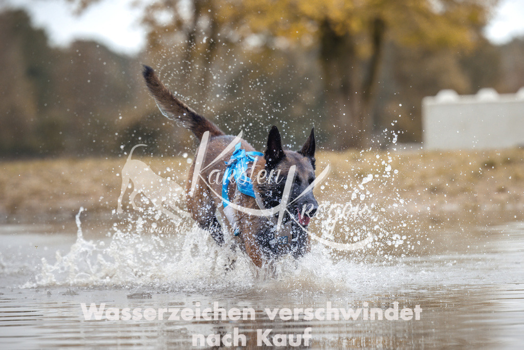 1358_ZZ95024 | kk-dogfotos