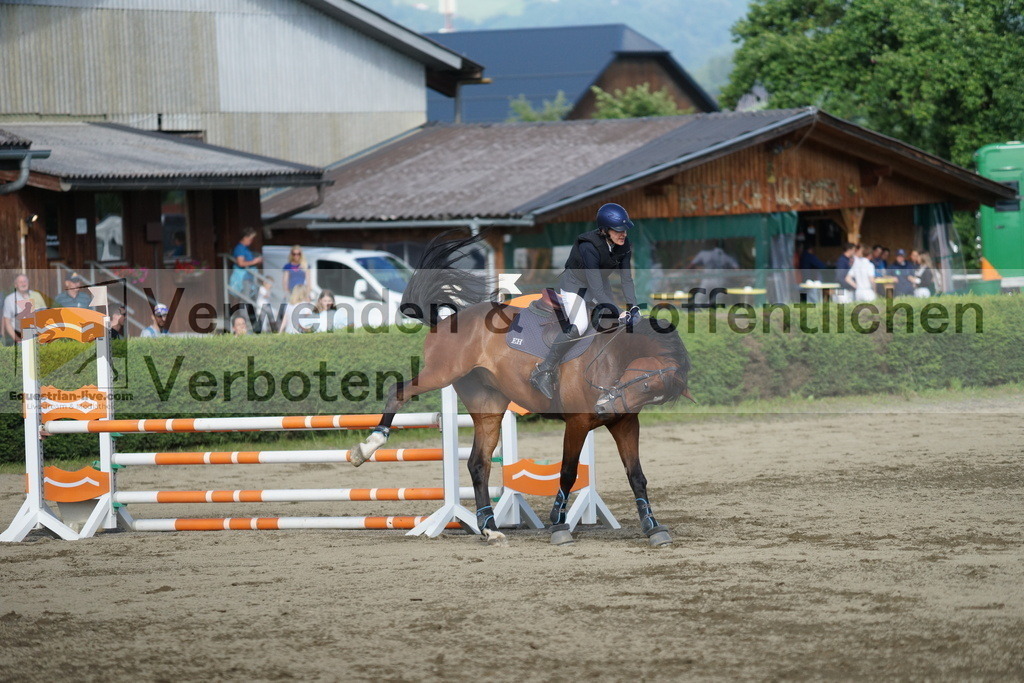 DSC05554 | equestrian-live-com
