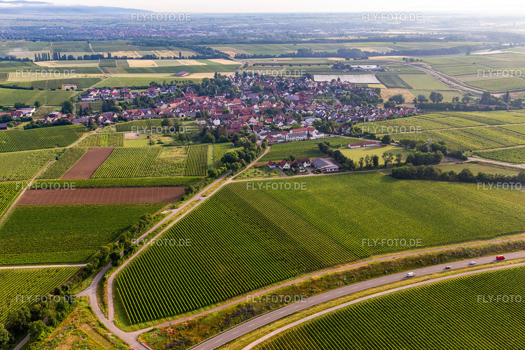 Ortsansicht von Süden | Luftbild: Ortsansicht von Süden in Impflingen im Bundesland Rheinland-Pfalz in Deutschland. Foto: IMG_141753.jpg vom 18.06.2024 durch ©2025 Werner Riehm fly-foto.de/copyright - Realisiert mit Pictrs.com