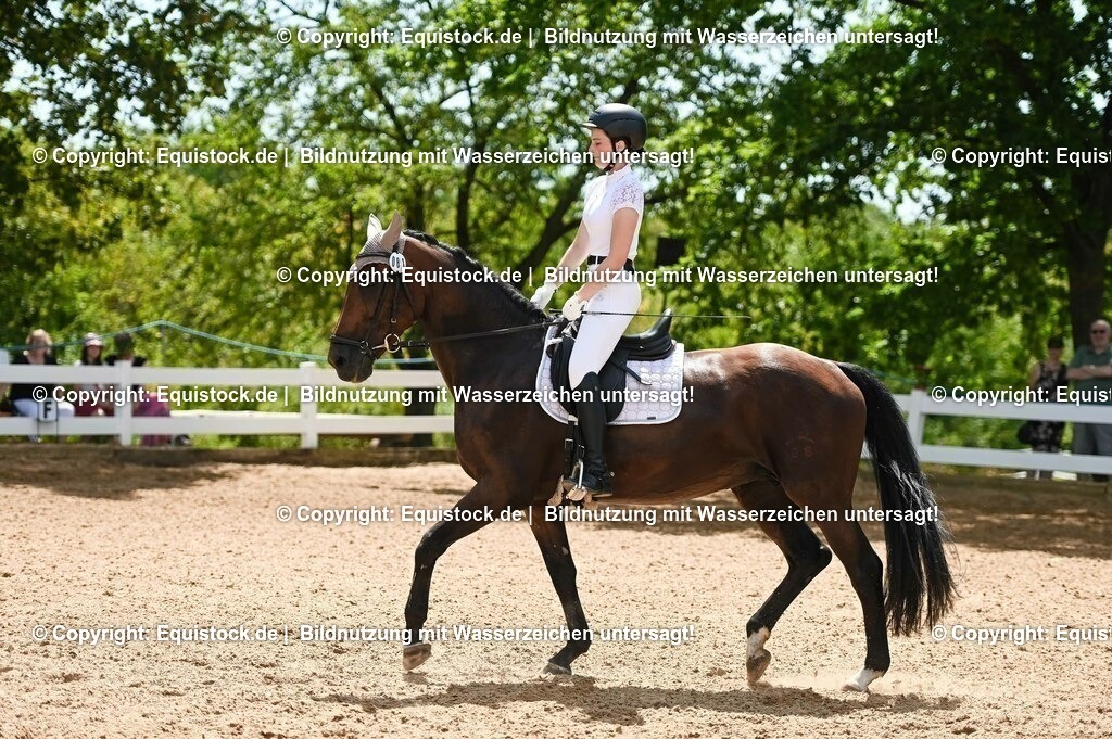 20230715_09_Dressur-WB_0253 | equistock