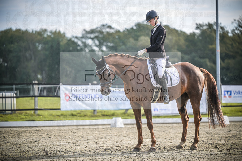 DOS_B121 | Entdecke hochwertige Reitturnierfotos von Foto Oger. Professionell, emotional und authentisch – jetzt Lieblingsmomente im Shop bestellen.Deutschlandweite Turnierfotografie. - Realisiert mit Pictrs.com