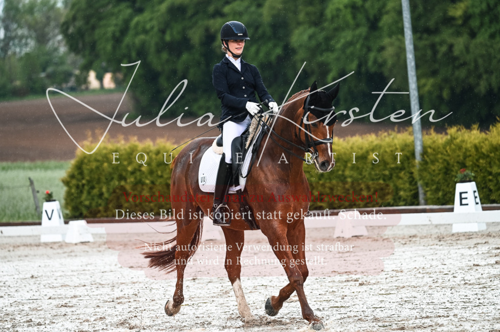DSC_4226 | Pferde- und Turnierfotografie in Westsachsen. Pferdeportraits, Auftragszeichnungen und intuitive Kunst.