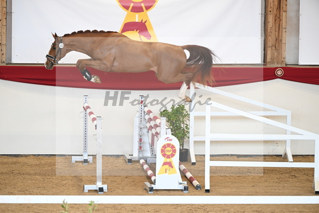 Kat.-Nr. 2 v. Baloutender_Kohn_2250957 | hf-fotografie - Realisiert mit Pictrs.com