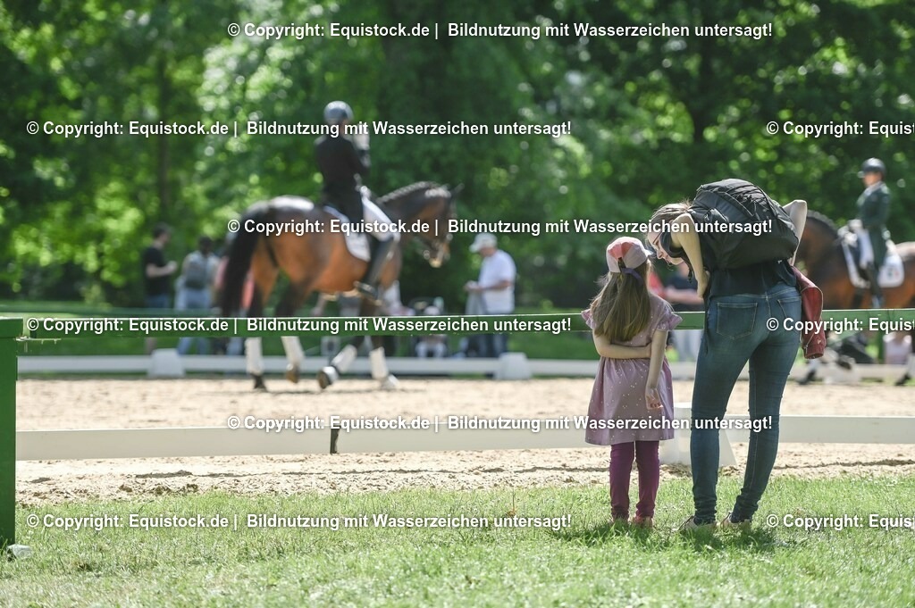 D78_2879 | equistock