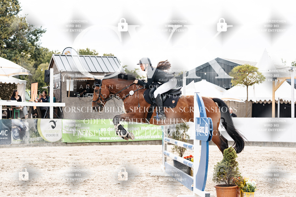 CK902789 | Turnierfotografie Pferdefotografie Trier Rheinland-Pfalz Pferdesport Reitsport Tierfotografie Sportfotografie Pferdevideo Pferdevideografie Equestrianvideography equestrianphotography  - Realisiert mit Pictrs.com
