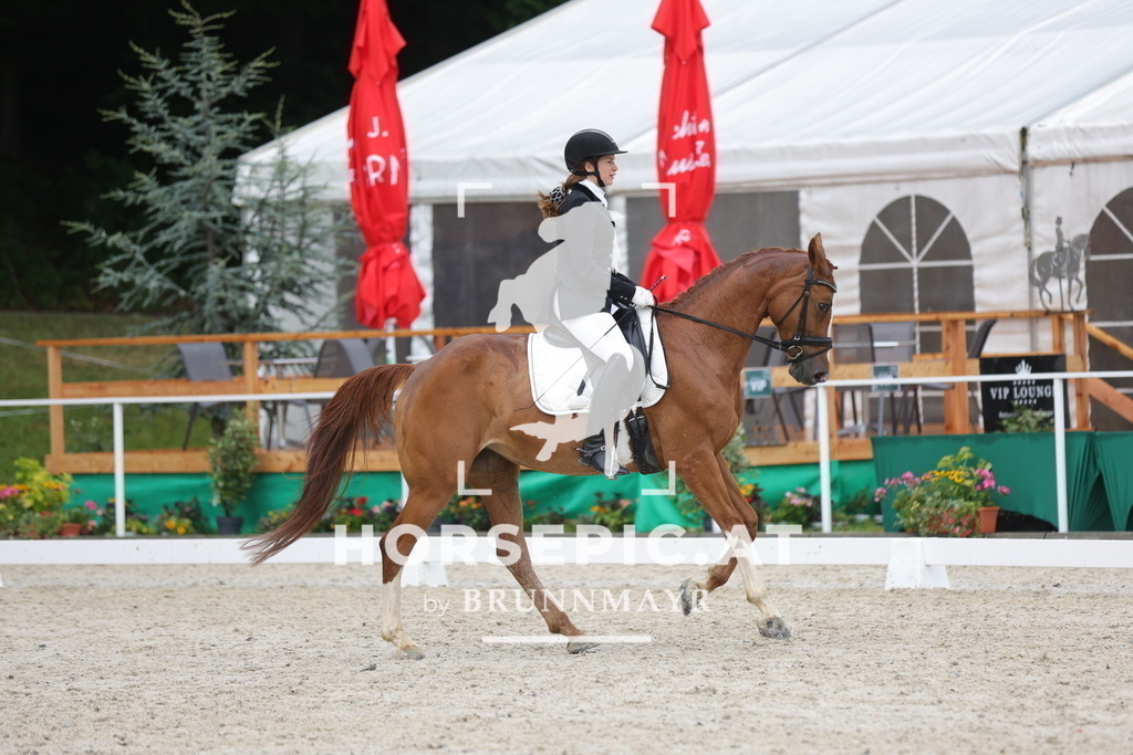 0P6A3630 | Willkommen bei Brunnmayr - Design & Fotografie – Ihrem Spezialisten für Reitturniere und Pferdeveranstaltungen in Oberösterreich, Salzburg und Bayern! Seit über 17 Jahren sind wir leidenschaftlich dabei.