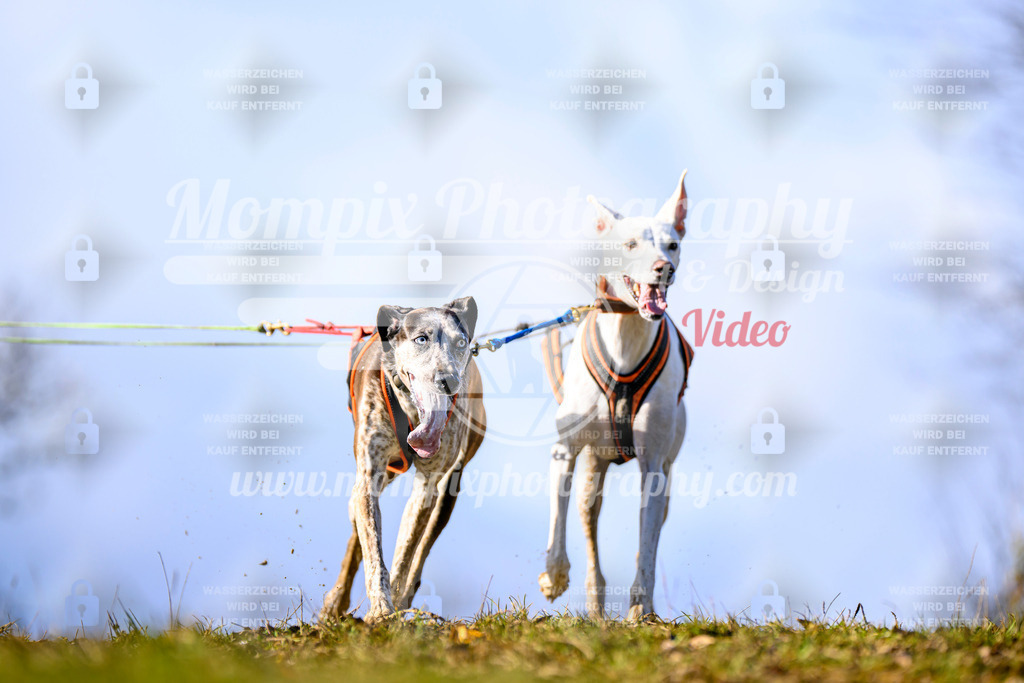 MompixPhotography_2OATB_SO_Scooter-16 | PayLife
