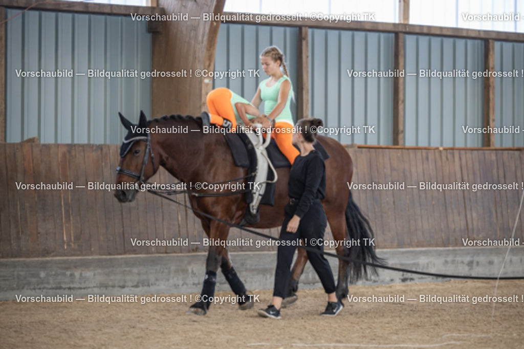 _D5A6971 | Emotionale Pferde- & People-Fotografie rund um Heidelberg, Leimen & Umgebung. Natürliche Fotos von Pferd, Mensch & Familie. Jetzt Termin sichern!