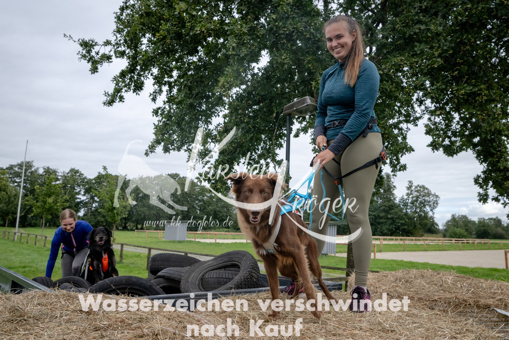1229_ZZ90896 | kk-dogfotos
