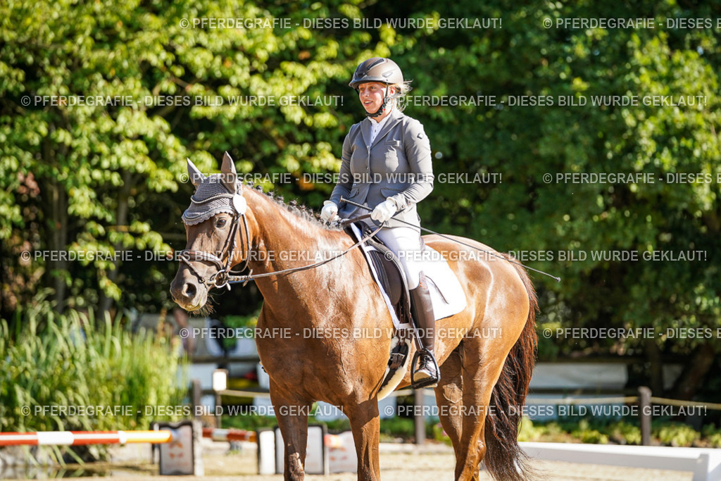 DSC09913 | Pferdegrafie