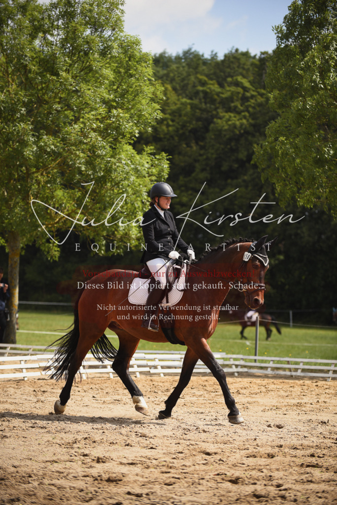 DSC_0770 | Pferde- und Turnierfotografie in Westsachsen. Pferdeportraits, Auftragszeichnungen und intuitive Kunst.