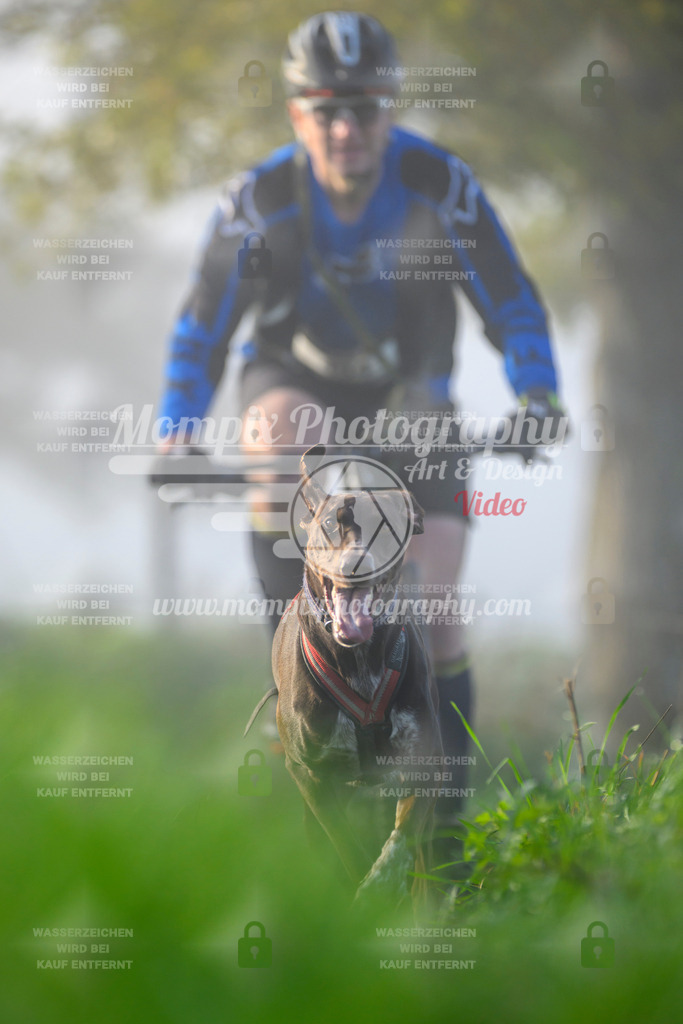 MompixPhotography_20TSB_E3_Bike-93 | PayLife
