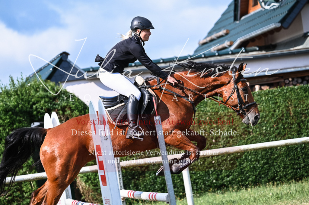 DSC_7816 | Pferde- und Turnierfotografie in Westsachsen. Pferdeportraits, Auftragszeichnungen und intuitive Kunst.