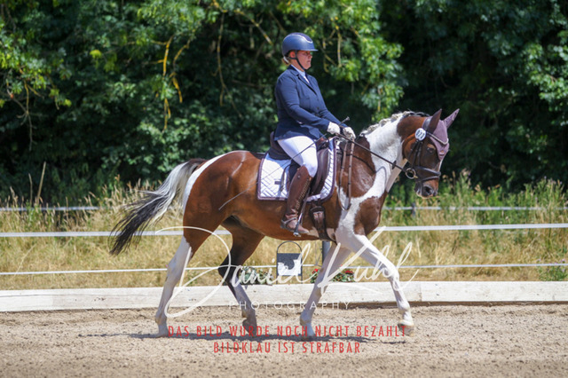 DKP46382 | Turniersportfotografie; Pferdefotografie; Dressurfotografie