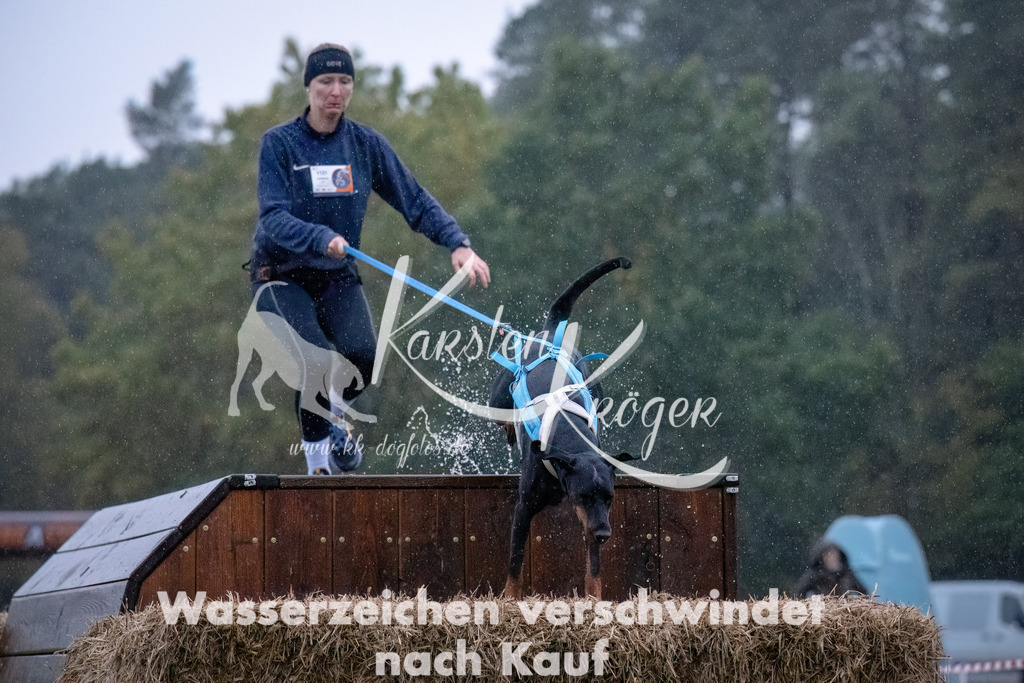 0828-_ZZ91393-Bearbeitet | kk-dogfotos