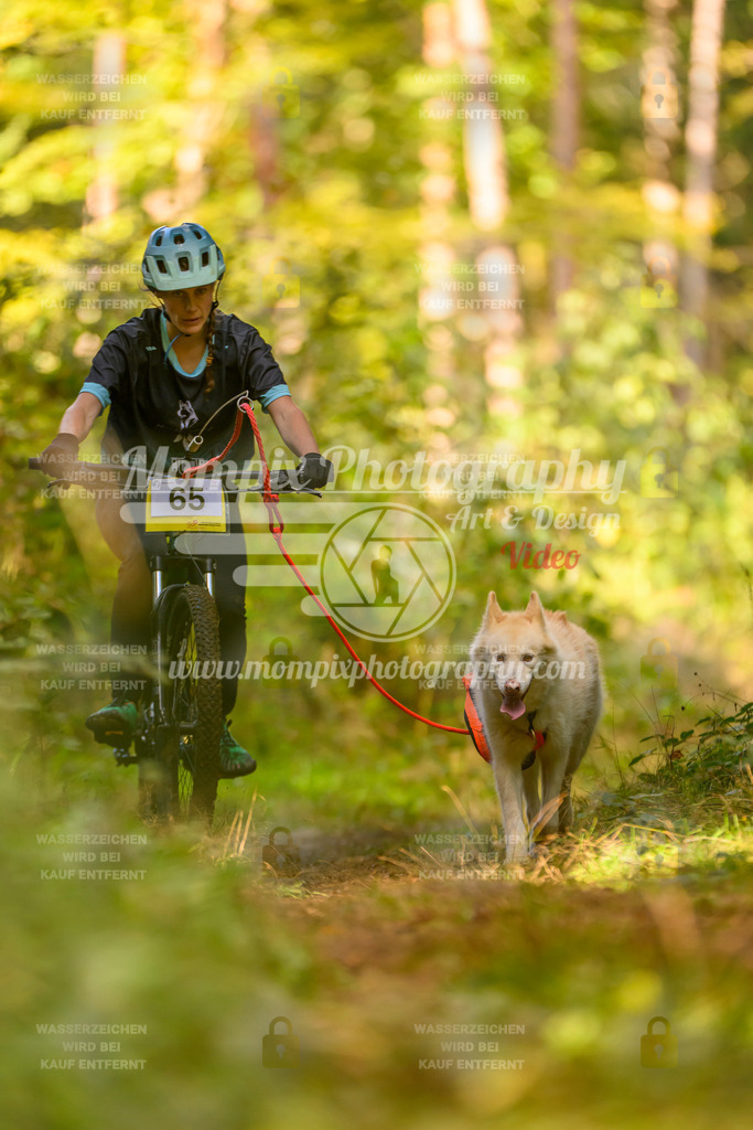 MompixPhotography_Yens2025_B3-2 | PayLife