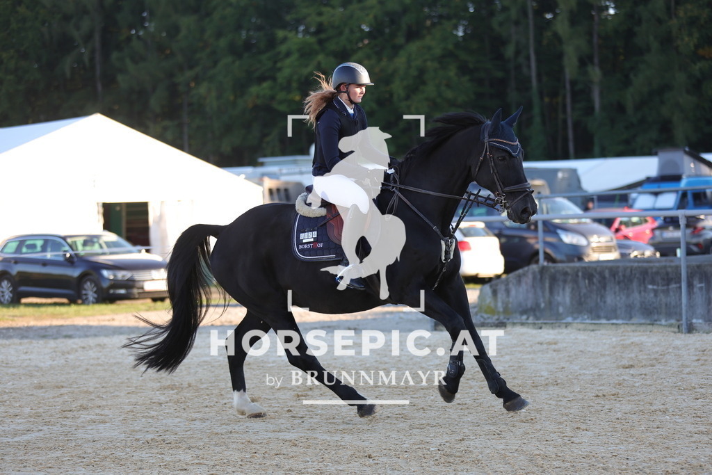 0P6A2206 | Willkommen bei Brunnmayr - Design & Fotografie – Ihrem Spezialisten für Reitturniere und Pferdeveranstaltungen in Oberösterreich, Salzburg und Bayern! Seit über 17 Jahren sind wir leidenschaftlich dabei.