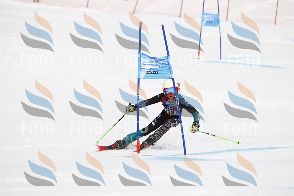 _U3G5052 | holidayphoto