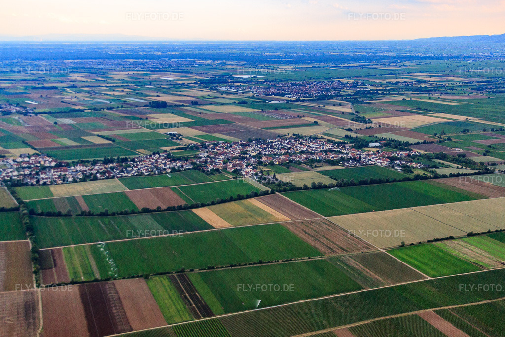 Luftbild: Ortsansicht aus Norden im Ortsteil Rödersheim in Rödersheim-Gronau im Bundesland Rheinland-Pfalz in Deutschland. Foto: IMG_69262.jpg vom 24.06.2014 durch Werner Riehm/FLY-FOTO.de