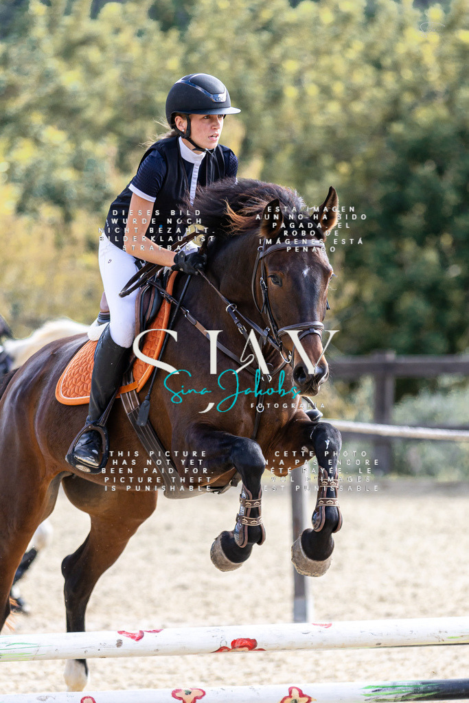 IMG_5780 | s-jay-photography - Realisiert mit Pictrs.com