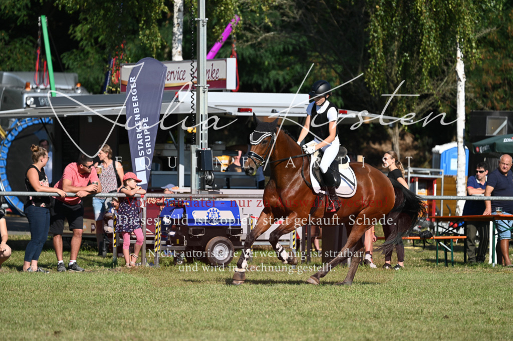 DSC_5291 | Pferde- und Turnierfotografie in Westsachsen. Pferdeportraits, Auftragszeichnungen und intuitive Kunst.