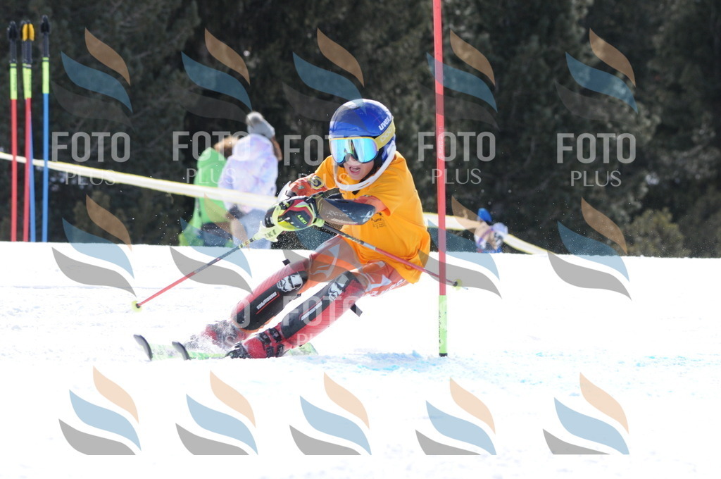 C9100 | holidayphoto