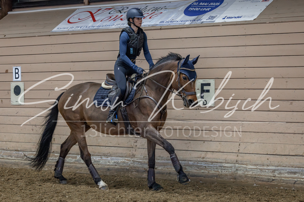 20260222-_3LI2151 | Tierfotografie Pferde, Hunde, Katzen, Haustiere.
Turnierfotografie Reitturniere, Reiten, Springreiten, Dressur in Hanau, dem Main-Kinzig-Kreis und dem Rhein-Main- Gebiet um Frankfurt
