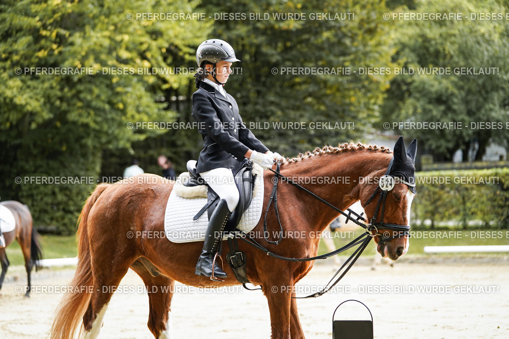 DSC05106 | Pferdegrafie