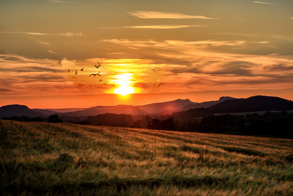 013 | Rothenburg ob der Tauber. Nur hier gibt es Exklusive und passend zur Jahreszeit Ihr Wandbild, T-Shirt, Tasse und alles was das Rothenburg Herz begehrt. - Realisiert mit Pictrs.com