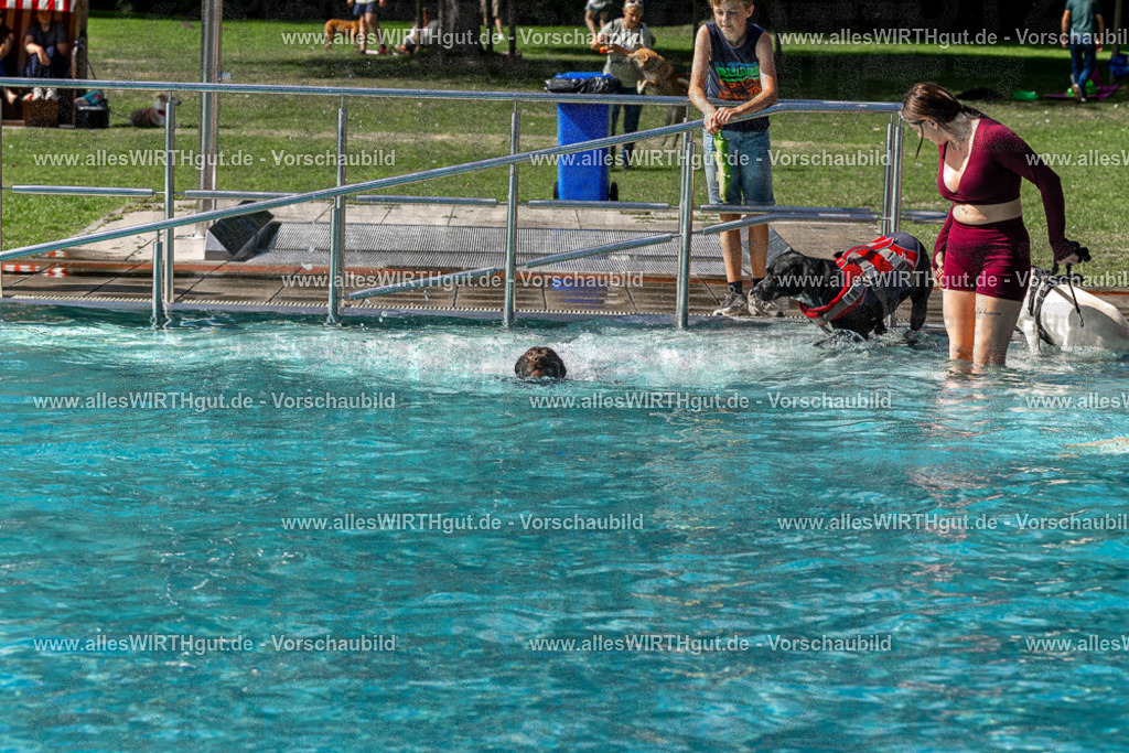Hundeschwimmen_Volksbad_2026-allesWIRTHgut_Tierfotografie-2609061422-FAY06948 | Professionelle Tierfotografie in Mönchengladbach von Daniel Wirth (allesWIRTHgut). Liebevolle & natürliche Bilder von Hunden & Katzen für unvergessliche Erinnerungen.